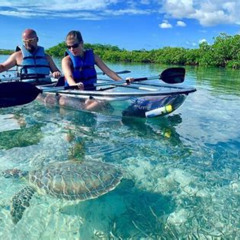 Review Special Price Mangrove Clear Kayak Tour