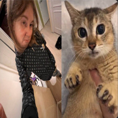 маленькая стрипса