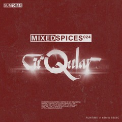 MIXEDSPICES024 Feat. Cirqular