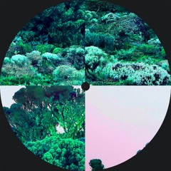 Premiere : Hannd - Holistic Healer (Bandcamp exclusive)
