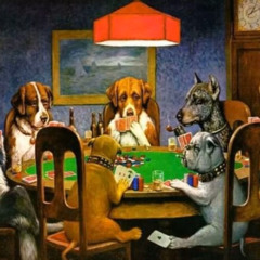 Dogs in my room prod 3c