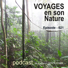 VSN021_VENEZUELA_PN Henri Pittier_F Deroussen