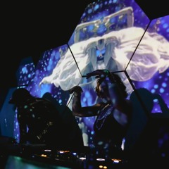 Bee Dance Closing Set ~ Hawaiian Sanctuary