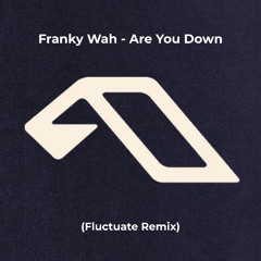 Are You Down (Fluctuate Remix)