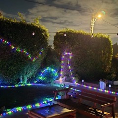 Patron B2B Ari Miller