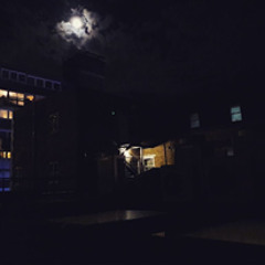 Stones - Alfie Parks