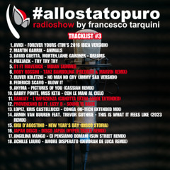 Allo Stato Puro 003