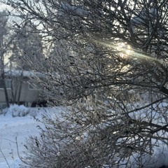 mir4L - Walkie Talkie! (prod. NovaChance)