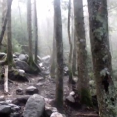 JustJump