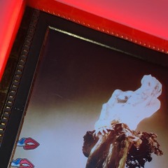 𝐅𝐥𝐞𝐱𝐱𝐱 𝐔𝐩 ✦ ݁˖⊹