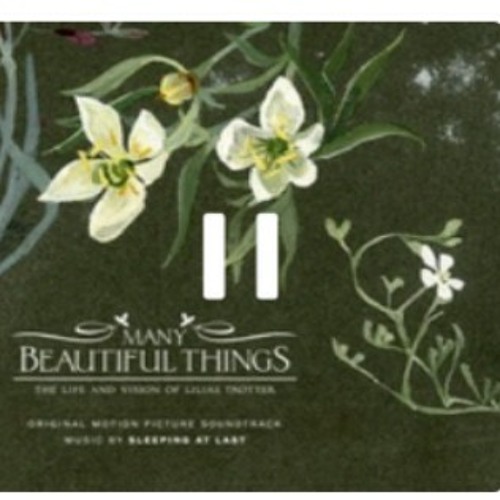 Sleeping at Last - Almost Idyllic.mp3