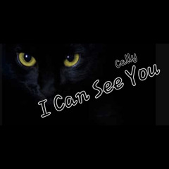 i can see you Remastered