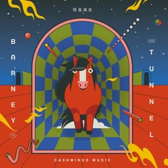 PRÉMIÈRE: Barney In The Tunnel - Grumpy [Cashminus Music]