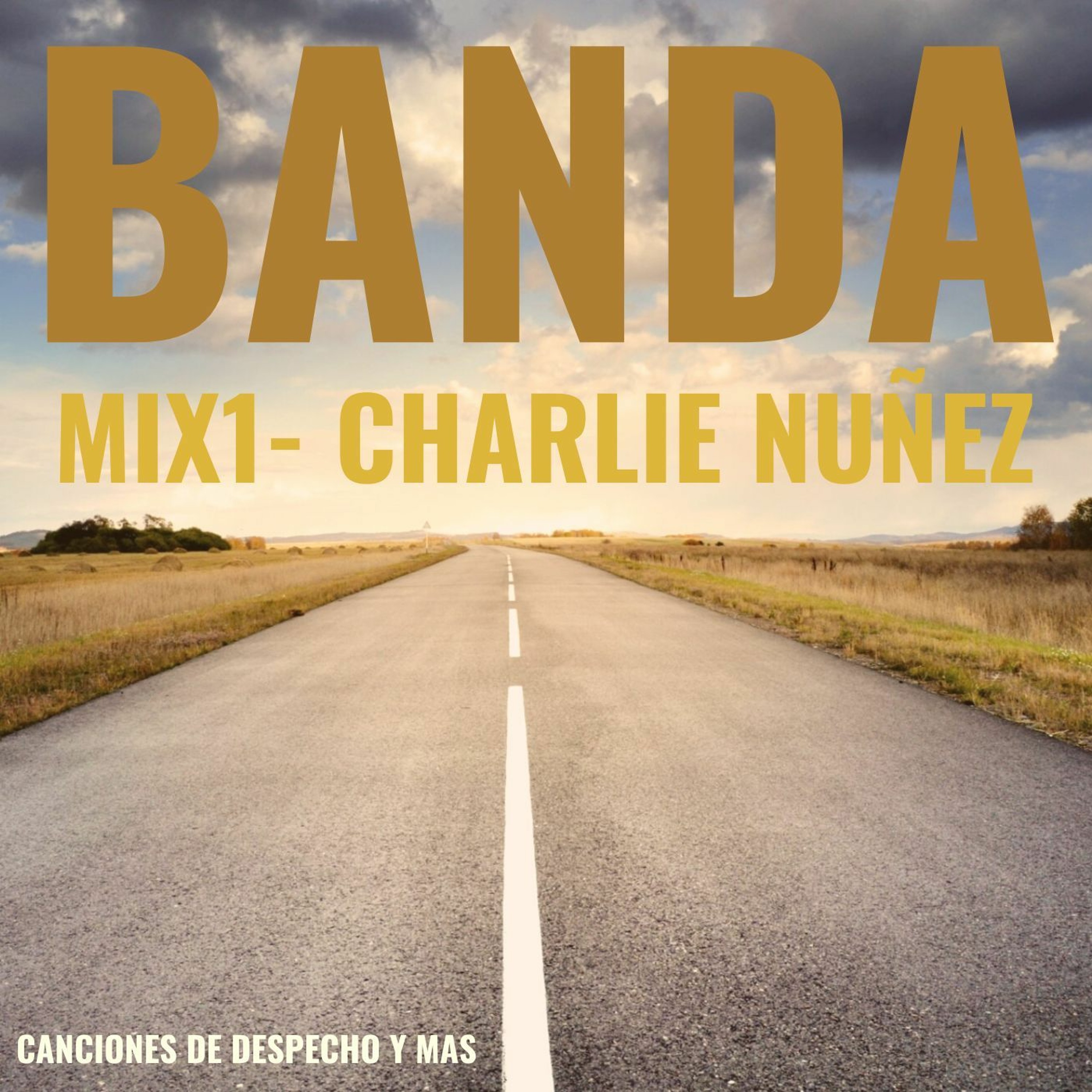 Dj Charlie Nuñez