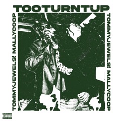 Too Turnt Up! (feat. Mally Coop)