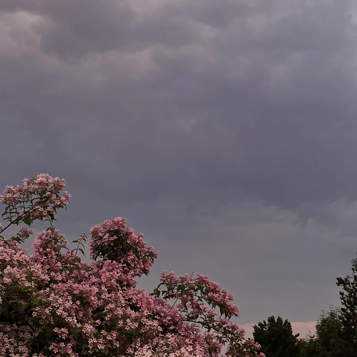 Haunterr – outside (prod. dskeep)