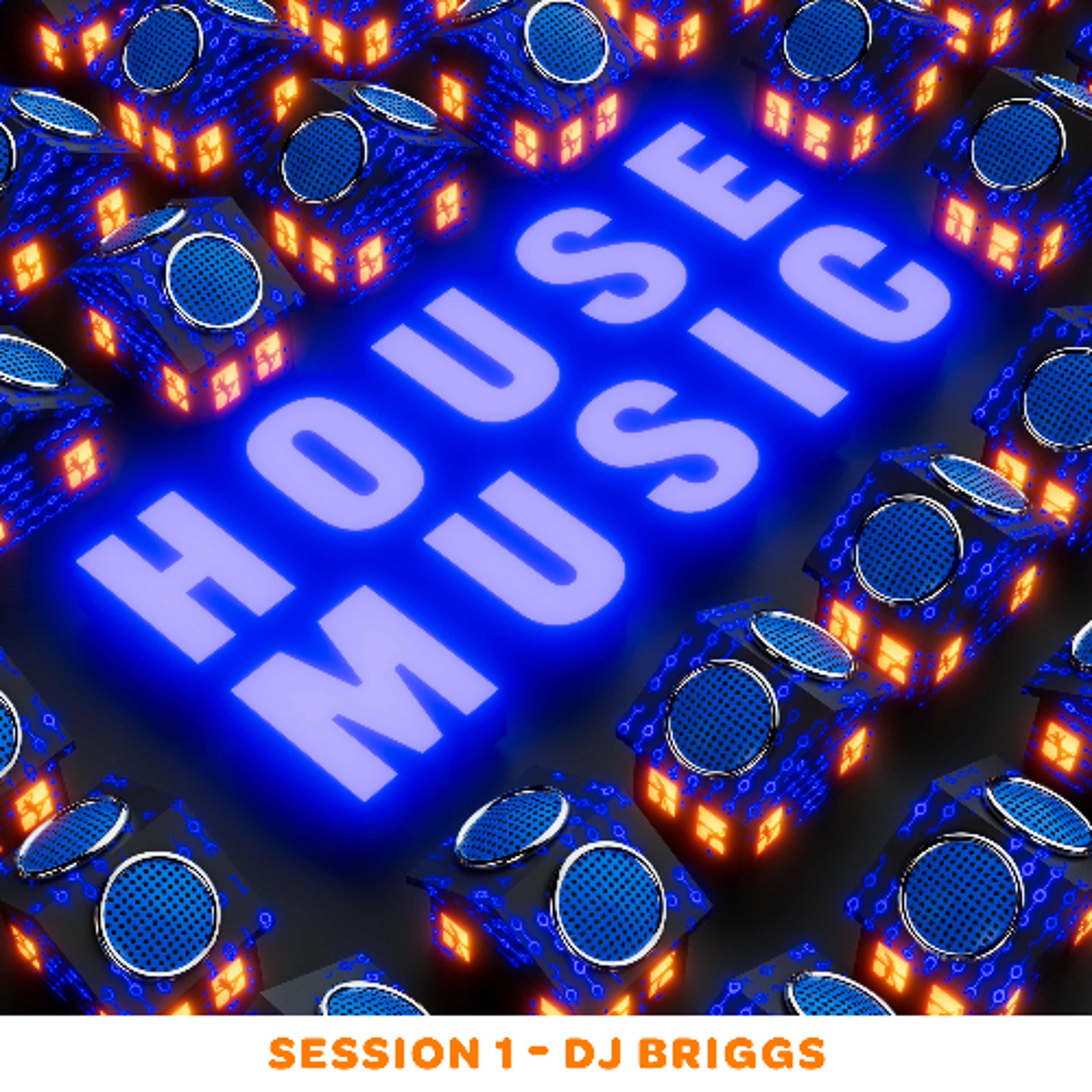 House Session 1 - Dj Briggs episode artwork