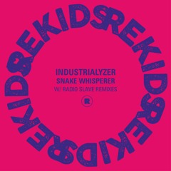 Industrialyzer - Snake Whisperer (Radio Slave 'Ambient' Remix)
