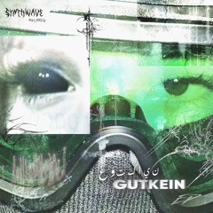 𝐏𝐑𝐄𝐌𝐈𝐄𝐑𝐄 | GUTKEIN - Spypics [𝑭𝑹𝑬𝑬 𝑫𝑳] (SW017)
