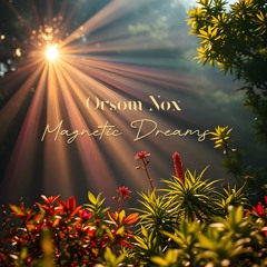Magnetic Dreams