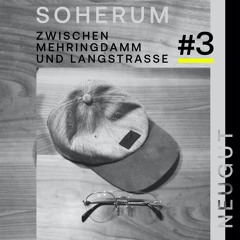 Zwischen Mehringdamm und Langstrasse # 3 - Soherum