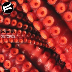 SdemA - Octopus (Aekidna Touchango)