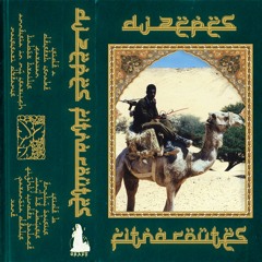 DJ Zepes - Desert Snake