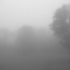 Atmospheric Black Metal