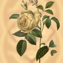 Only doing what feels right