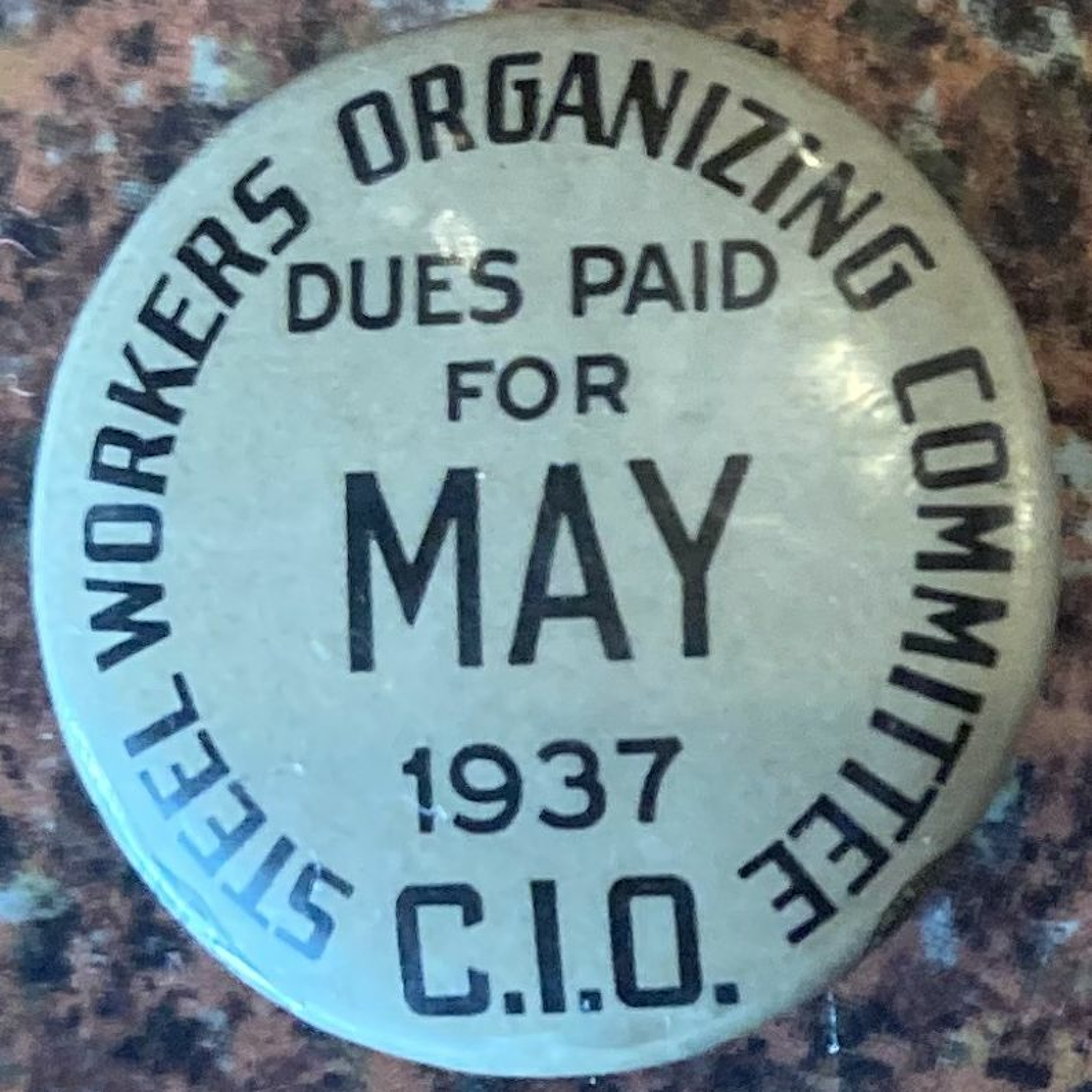 Organize the Unorganized: The Rise of the CIO