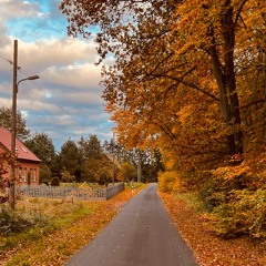 RSR - November 2023 Promo Mix