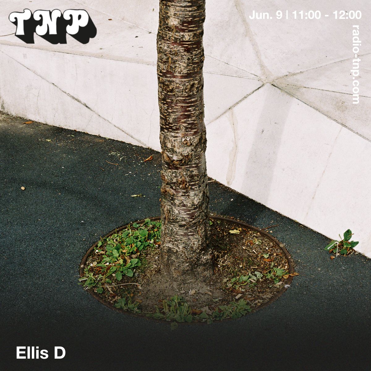 Ellis D