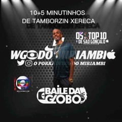 10+5 MINUTINHOS DE APELAÇÃO X BAILE DO MIRIAMBI X GUINDIA X TAMBOR XERECA [[ DJ WG  ]] 2023