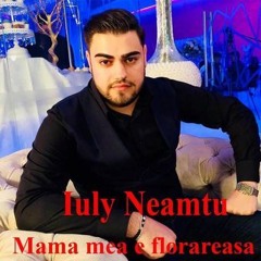 Iuly Neamtu  Costel Biju - Ai O Fusta Cu Dulceata ( Video Oficial )