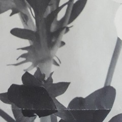 Lady_Late_Vinyl_mix@TalkOver#184@CanalB_Radio_18.06.2022