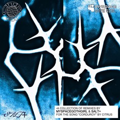 Corduroy (Salt+ Remix) - Citrus