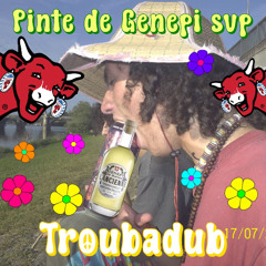 pinte génépi svp (tekno yodele)