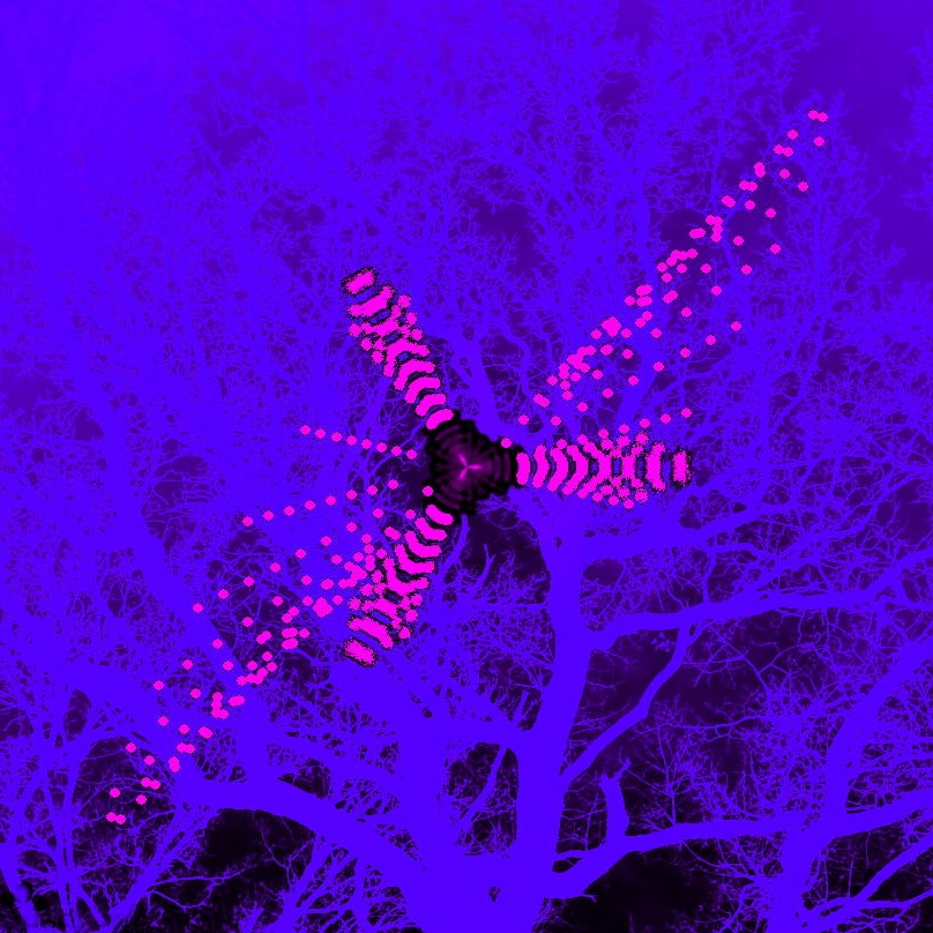 PLATO No. 11298 Ekstasis episode artwork