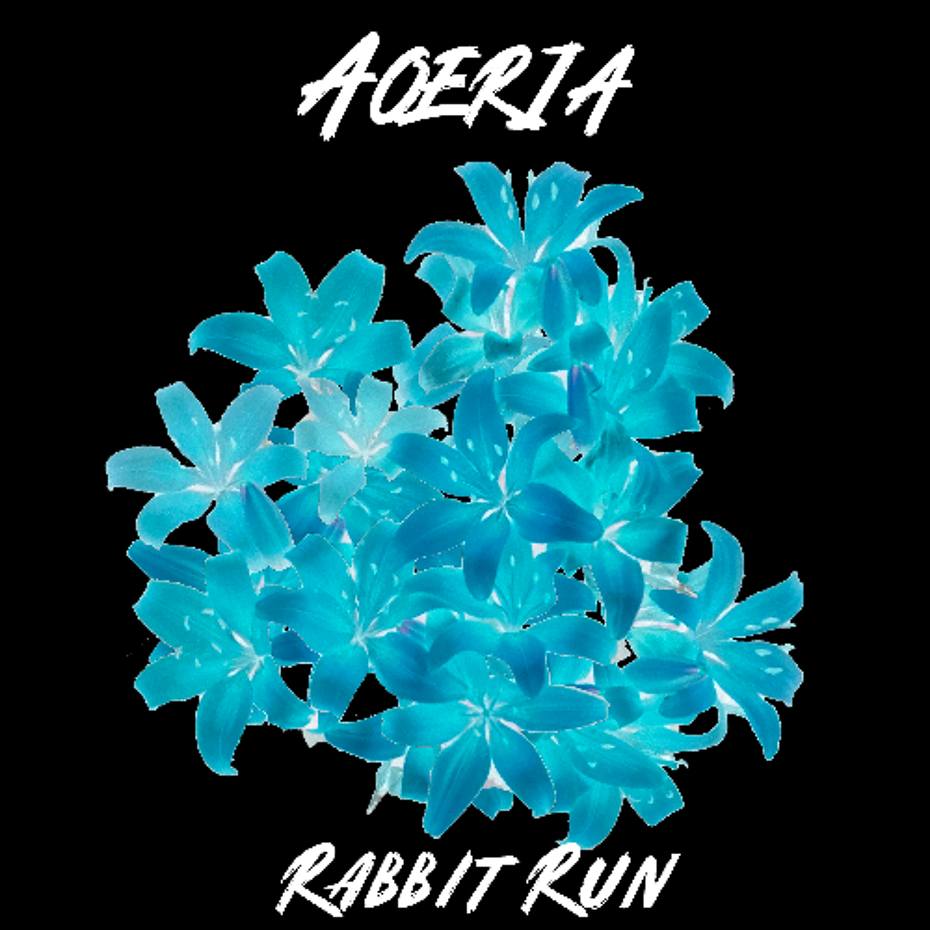 Rabbit Run (New Single from Reflexion Out June 18) episode artwork