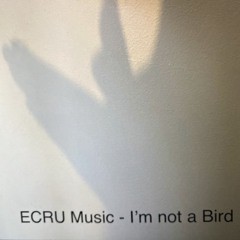 I'm not a Bird (Demo)