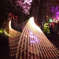 Honest attempt 6 April 25