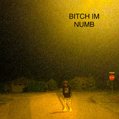 BITCH IM NUMB