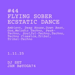 #44 FLYING SOBER ECSTATIC DANCE HEILBRONN mit Jan B