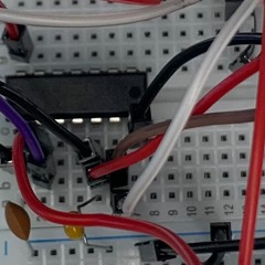 Bitkrusheuse _Taylor's version