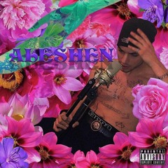 4L3SH3N - N13 PRZ3D P13KLEM