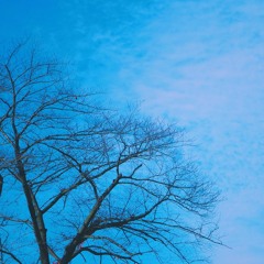 skyward #2