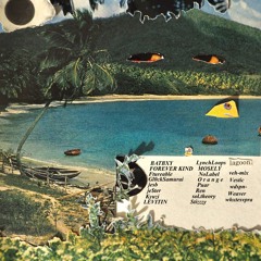 The Lagoon Summer Mixtape (Vol. 1)