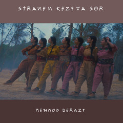Vejîn (feat. Mufîde Hemdî)