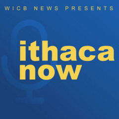 Conversations with Indivisible Tompkins