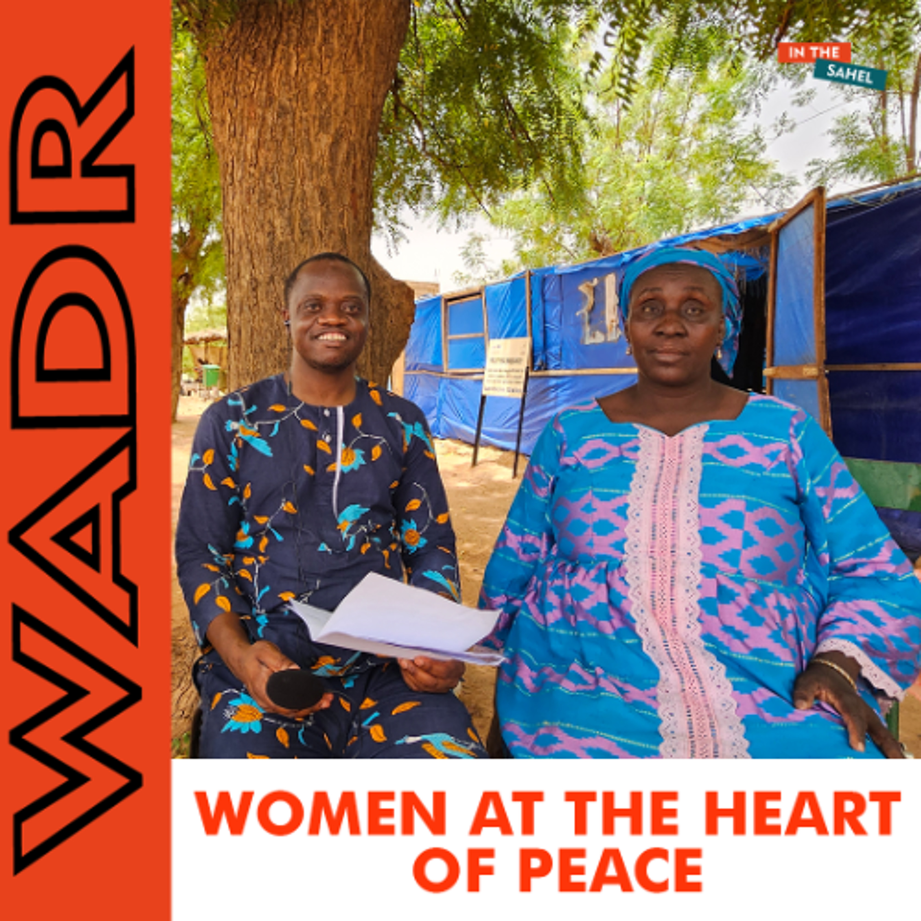 The Role of Women in Conflict Resolution In The Sahel episode artwork